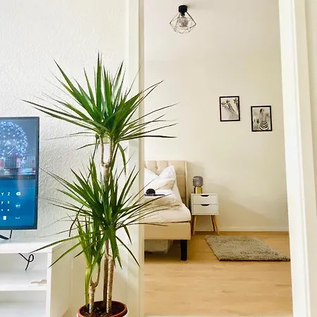 Stilvolles Apartment In Zentraler Lage - Smart-Tv, Queensize-Bett, Altbaustil, Kueche In City-Naehe Erfurt Buitenkant foto
